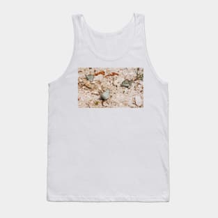 Aporia Crataegi Butterflies Tank Top